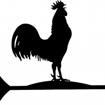 Rooster